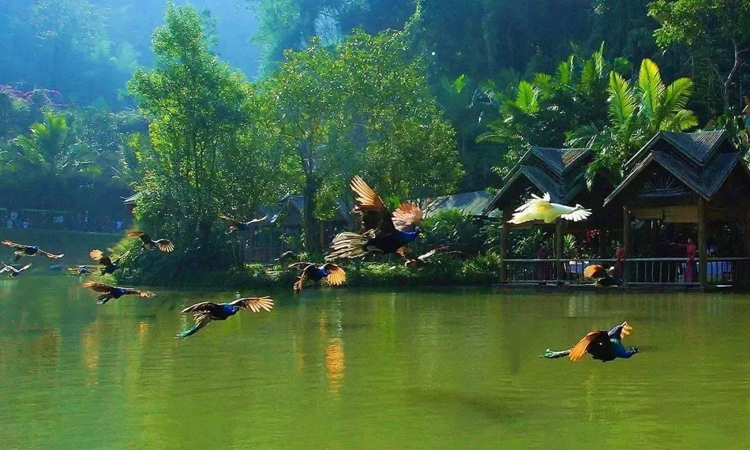 家里大门对着别人的卫生间门怎么办- 最专业的58问答交流平台